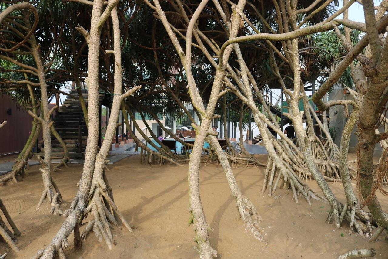 Saprin Beach Resort Uswetakeiyawa Extérieur photo